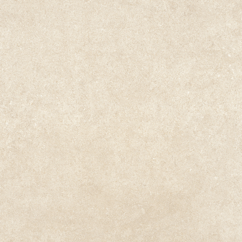 13567911.jpg