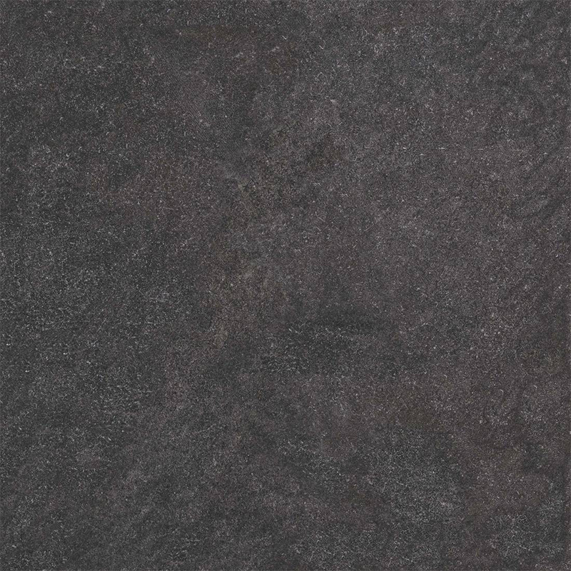 13569806.jpg