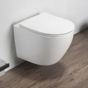 Konzolna wc šolja sa duroplast soft close wc daskom
