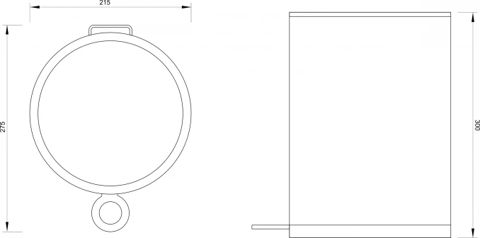 C-07-006-CO-1