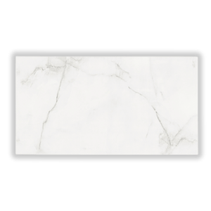 Plocica Light Grey Glossy 30x60